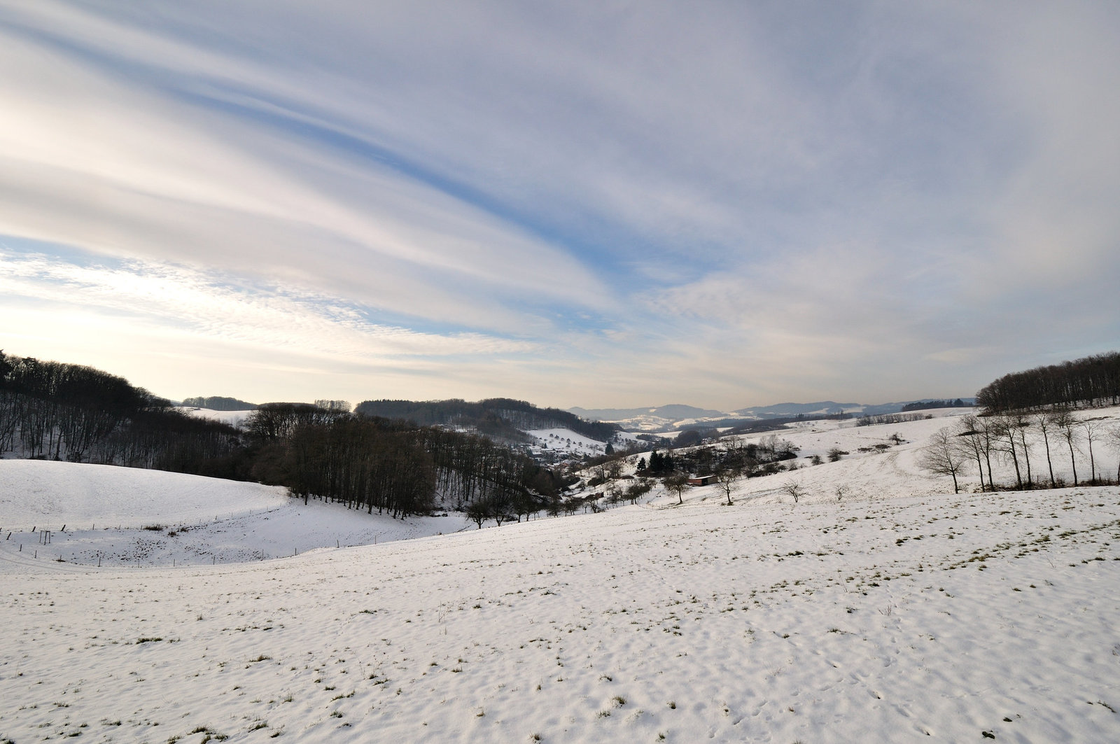 Odenwald - 121213