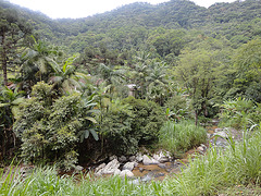 DSC00647