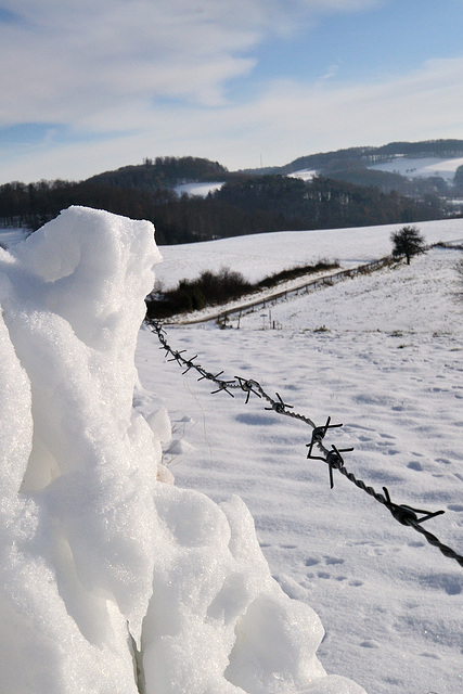 Stacheldraht - 121213