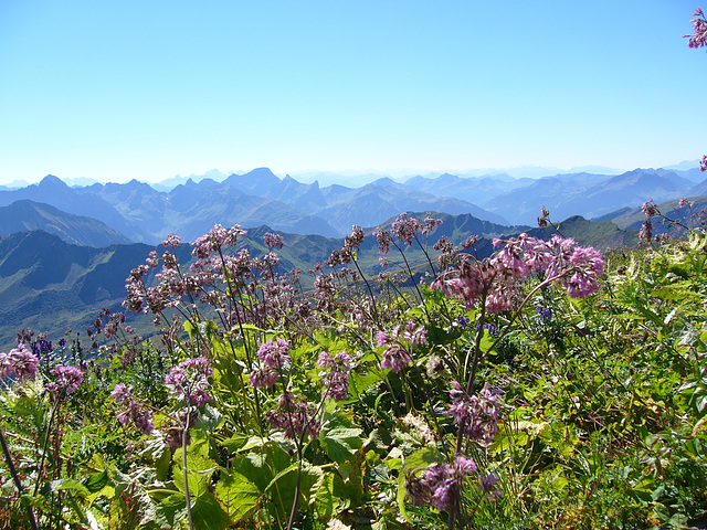 Blick vom Hohen Ifen