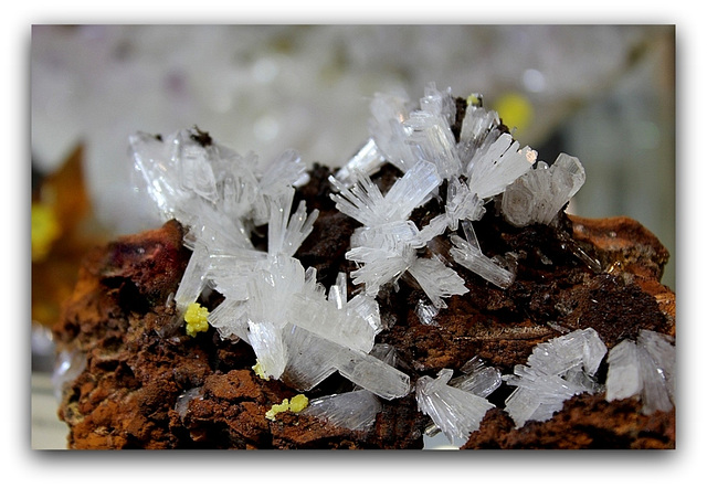 Hémimorphite du Mexique