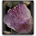 Fluorite violette Musquiz - Mexique