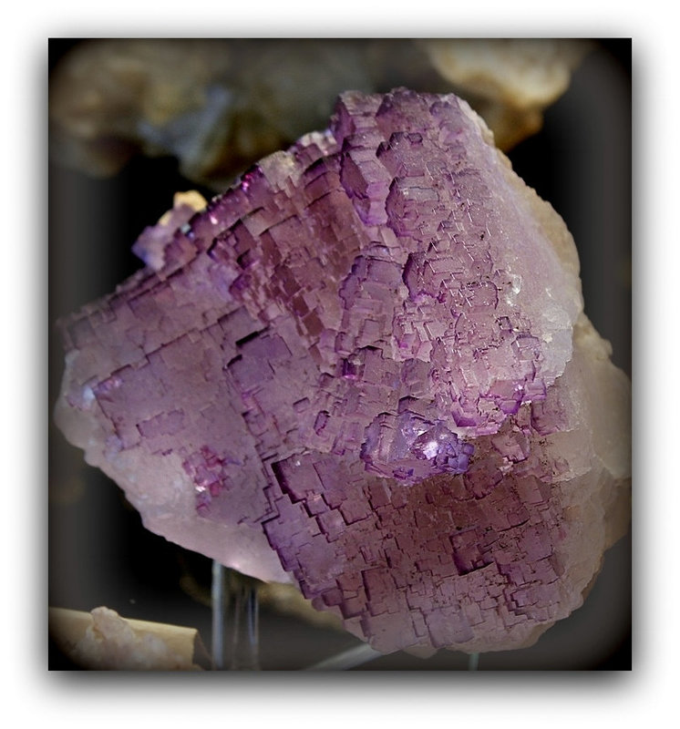 Fluorite violette Musquiz - Mexique