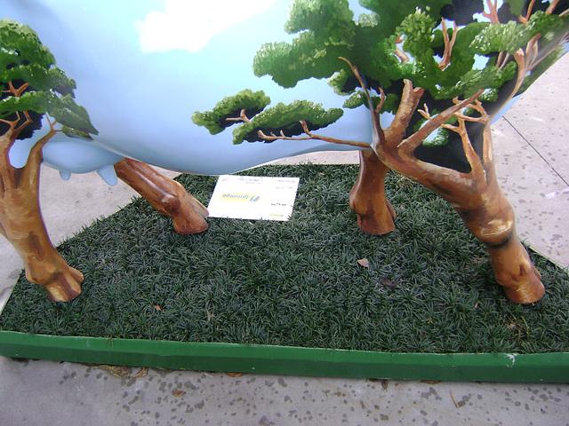 DSC09041