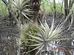 DSCN2604