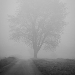 Herbstläuten Herbstläuten