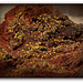 mimétite