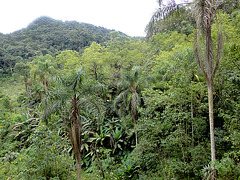 DSC00670