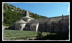 PROVENCE