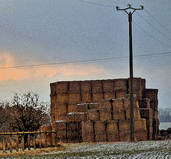 piles