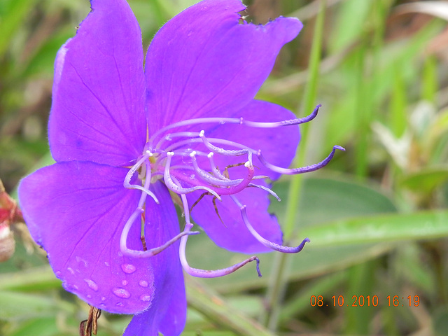 DSCN2627