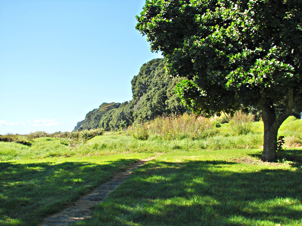 Pikowai camp