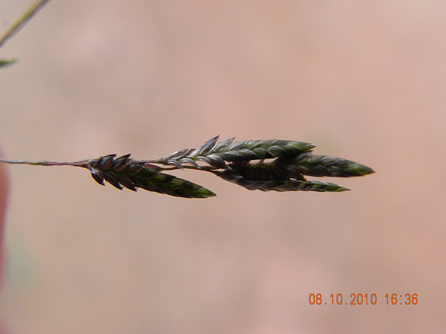 DSCN2663