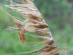 DSCN2666