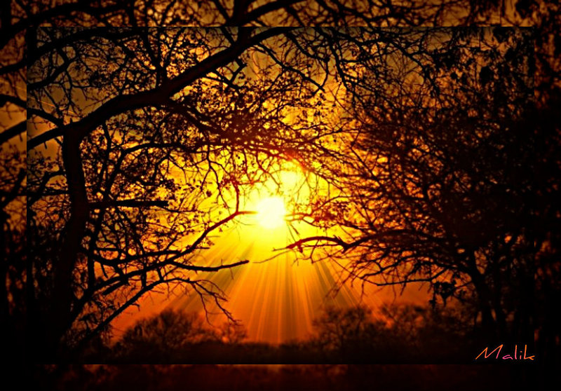 Rayonnant..!
