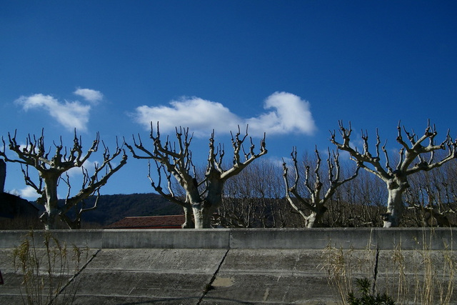 Ardèche