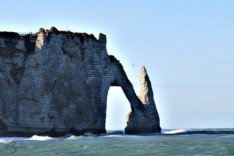 25 novembre 2012 ( Etretat) 451