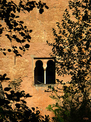 Autour de l'Alhambra 4