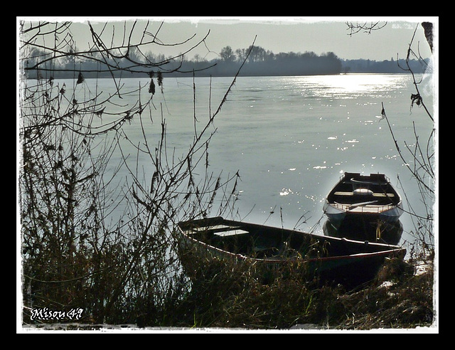 SAINTE GEMMES sur LOIRE