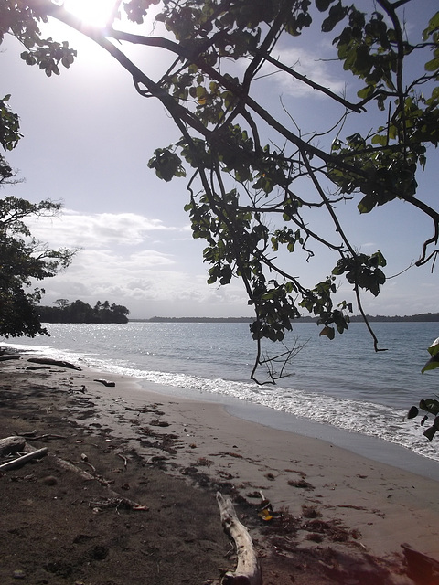 Caribbean ephemeral paradise / Paradis éphémère des Caraïbes.