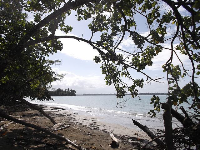 Caribbean ephemeral paradise /Paradis éphémère des Caraïbes