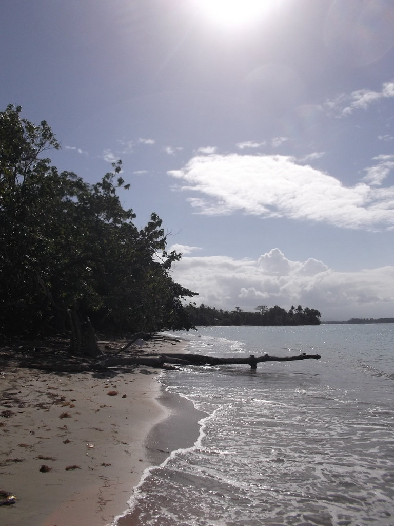 Caribbean ephemeral paradise /Paradis éphémère des Caraïbes.