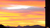 DSCF8169