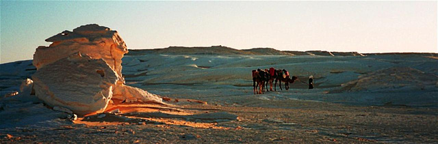 Le désert Blanc en Egypte