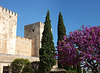 Dans les jardins de l'Alhambra