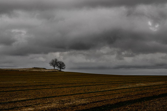 Champ sous l'orage