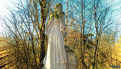 DSCF8976