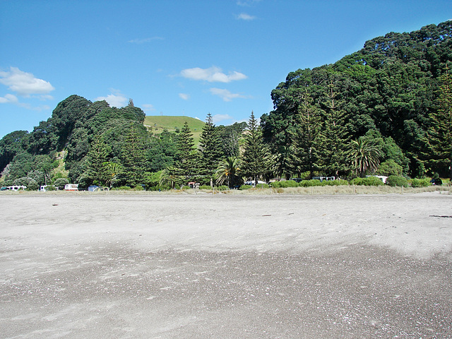 Pikowai camp from beach 2
