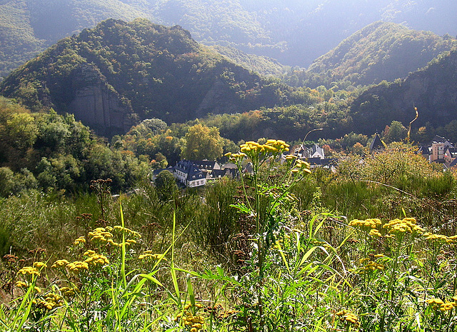 Blick auf Altenahr und Langfigtal