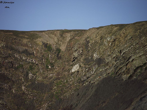 The steep cliffs at Hartland