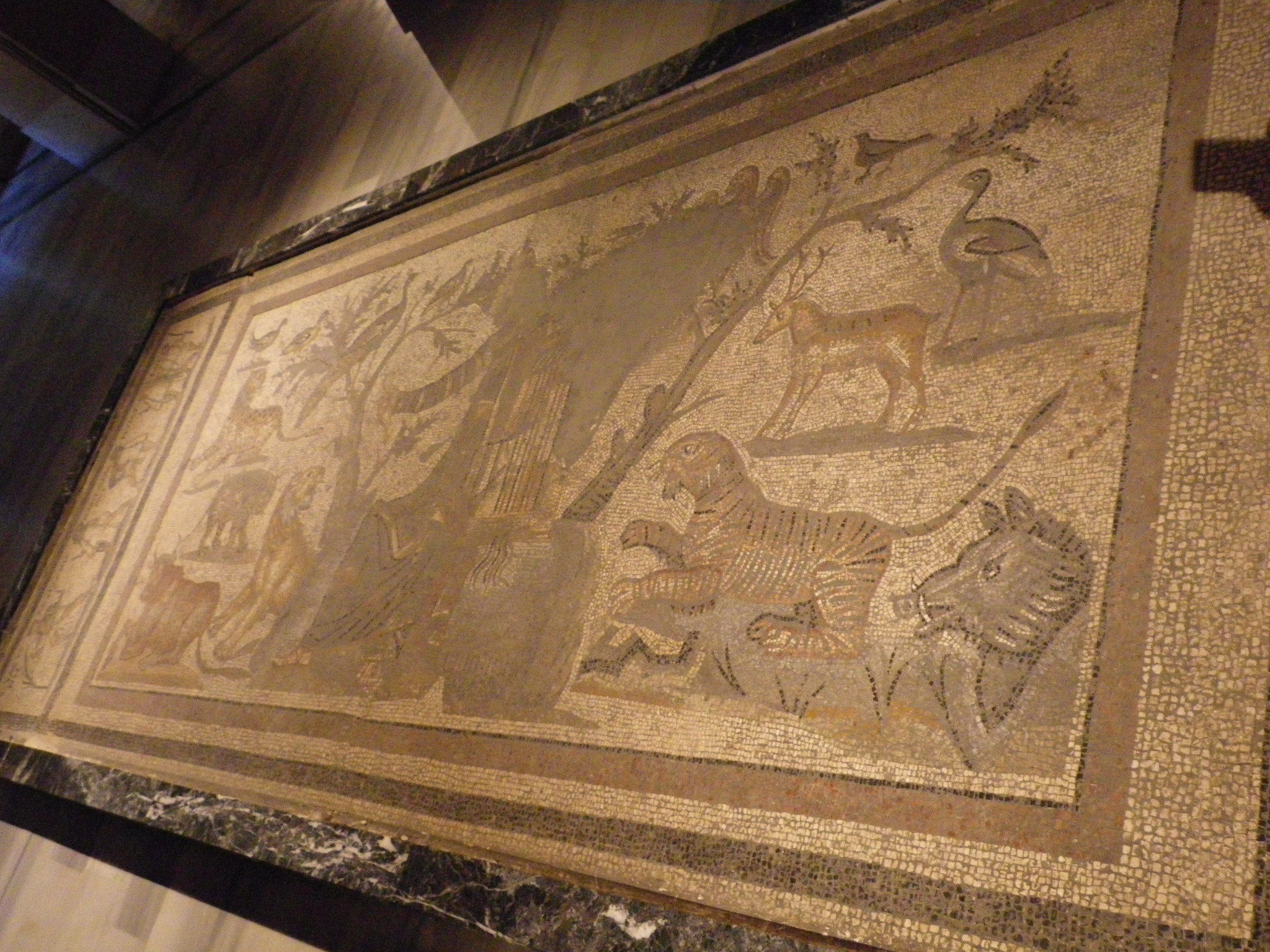 Mosaïques : fauves.