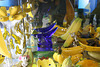 International Banana Museum (8502)