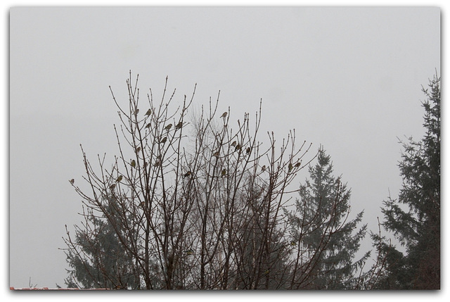 La météo du jour (2)