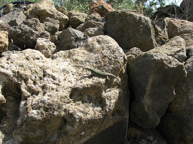 Sizilien, Liparische Inseln, Isole Eolie, Alicudi