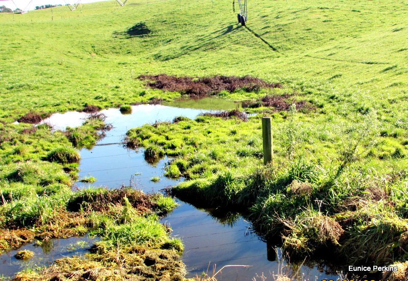 Rural stream.