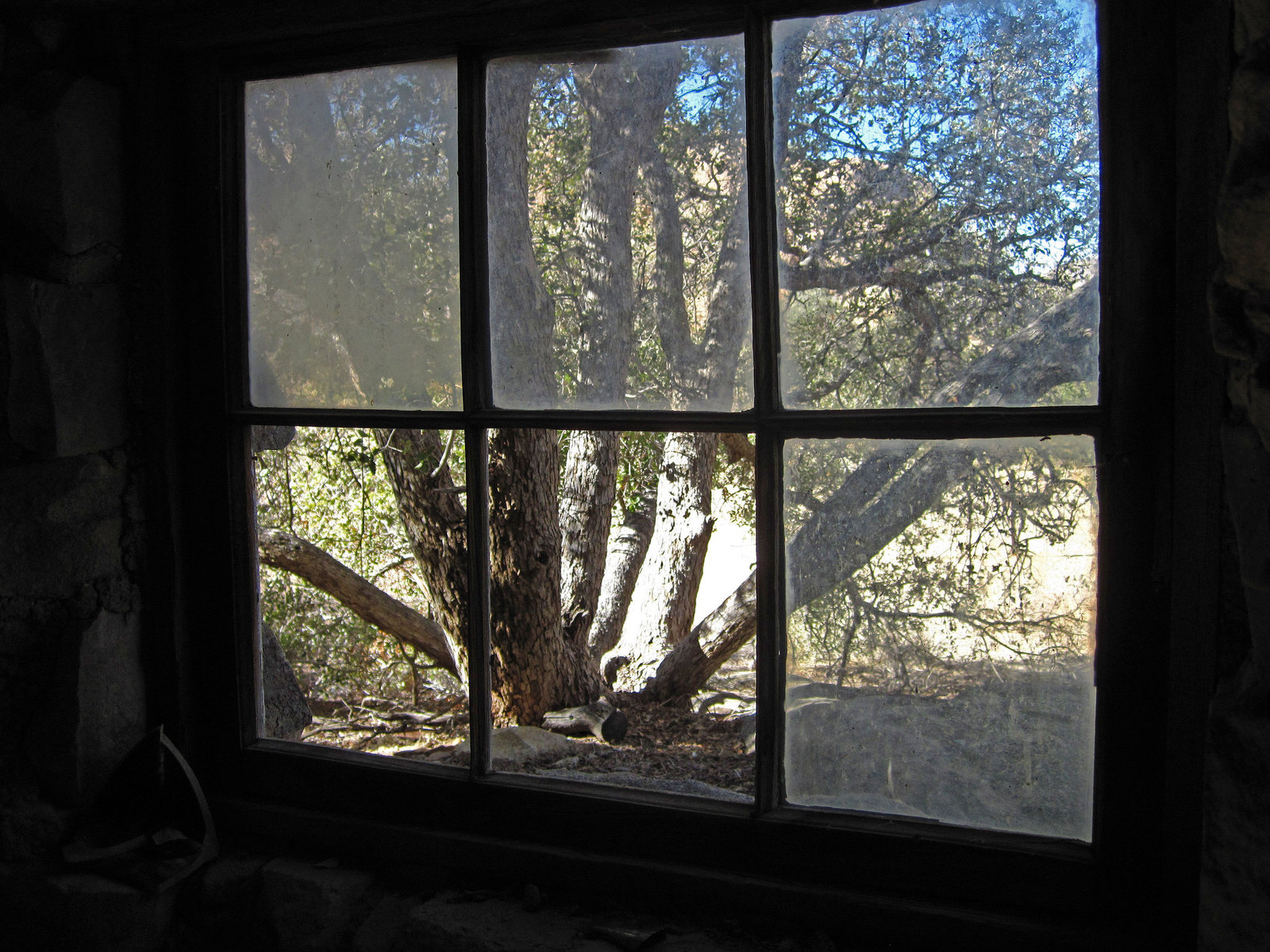 Eagle Cliff Miner's Cabin (3953)