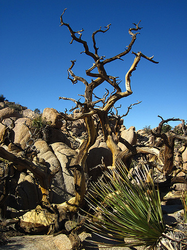 Hike To Eagle Cliff Mine (3942)