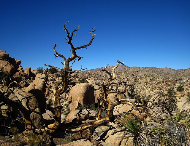 Hike To Eagle Cliff Mine (3943A)