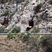 Bisbee, AZ  mine (2115)