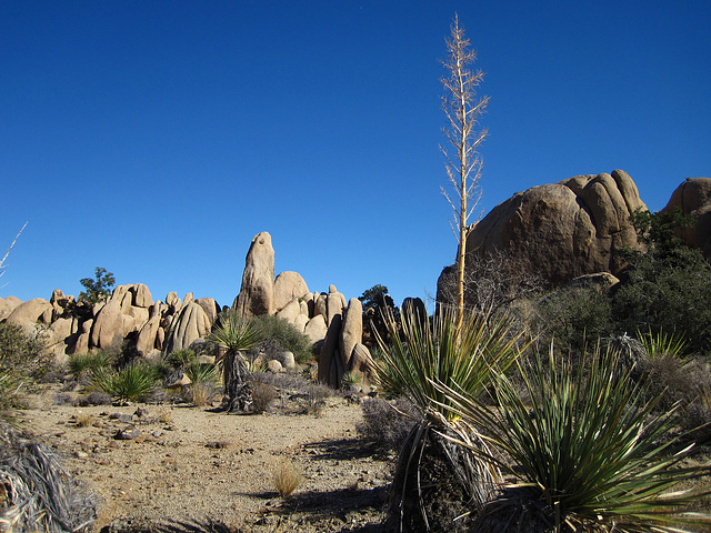 Hike To Eagle Cliff Mine (3944)