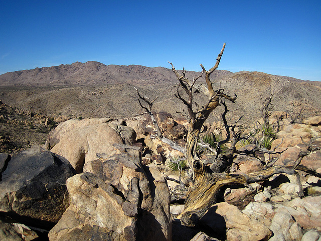 Hike To Eagle Cliff Mine (3947)