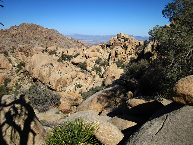 Hike To Eagle Cliff Mine (3963)