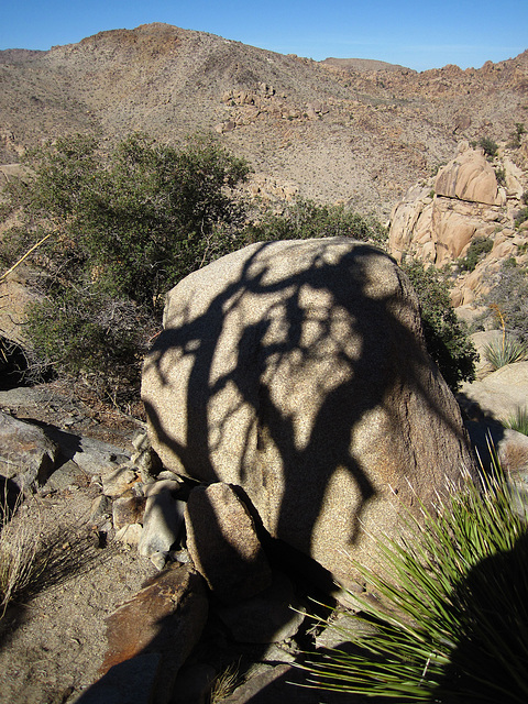 Hike To Eagle Cliff Mine (3964)