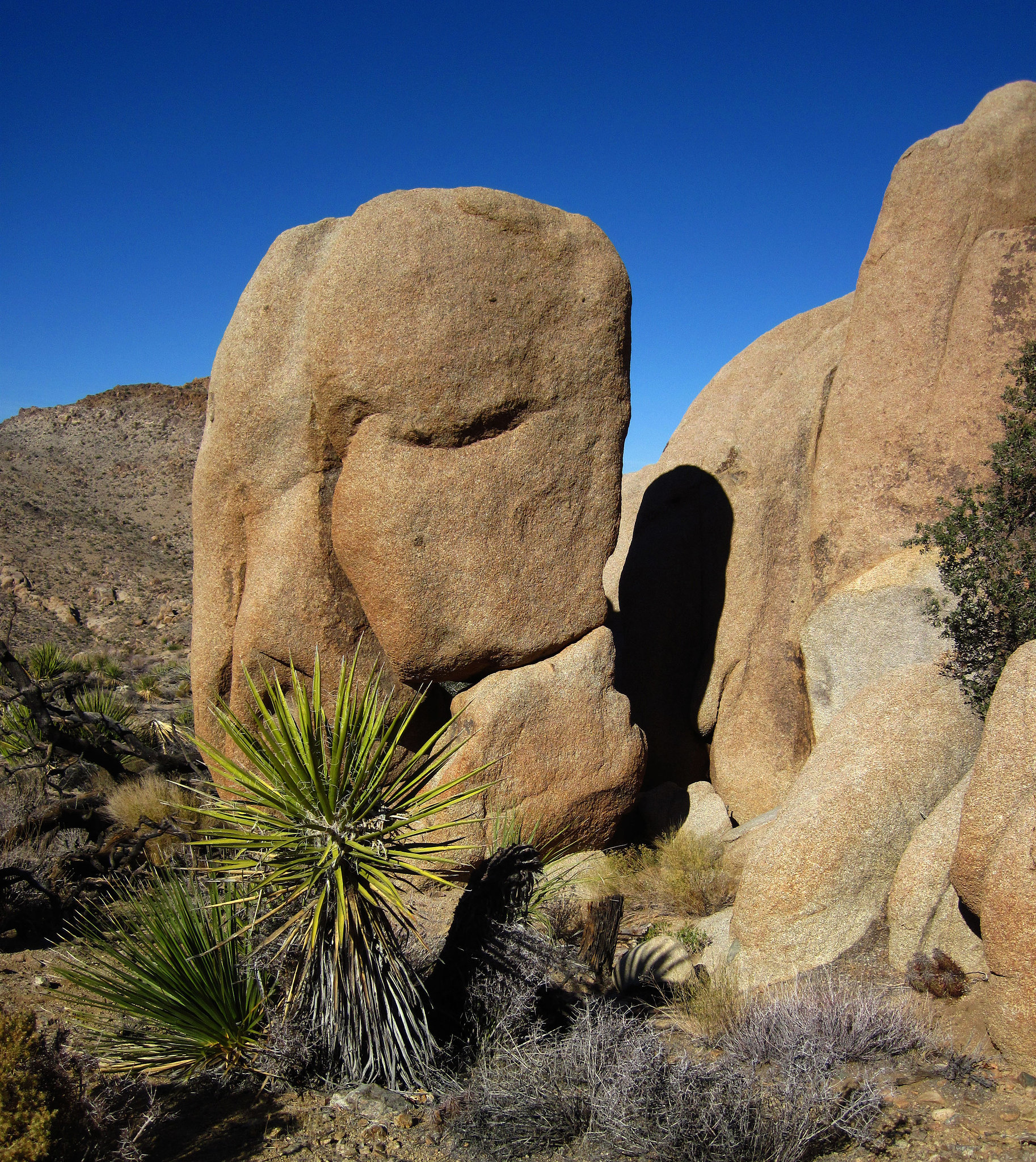 Hike To Eagle Cliff Mine (3966)