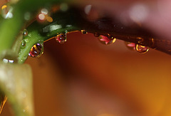 Petits miroirs