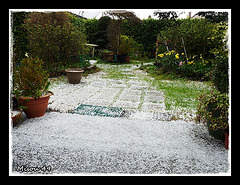 MON JARDIN